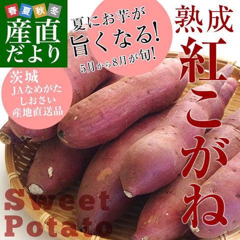 茨城県より産地直送 JAなめがたしおさい さつまいも「熟成紅こがね」 Sサイズ 約5キロ（25本から30本） 送料無料 行方 薩摩芋