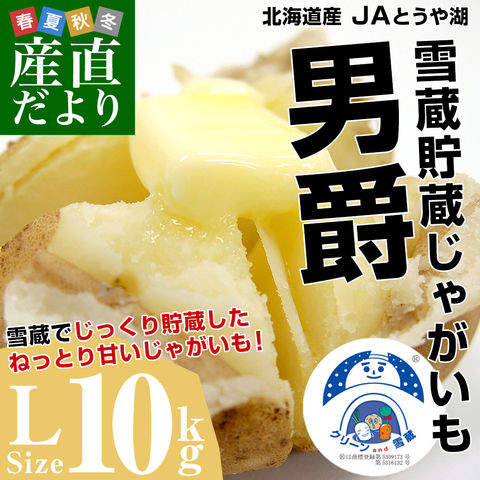 北海道より産地直送 JAとうや湖 雪蔵貯蔵じゃがいも (男爵) Lサイズ 10キロ  送料無料 芋 ジャガイモ 馬鈴薯