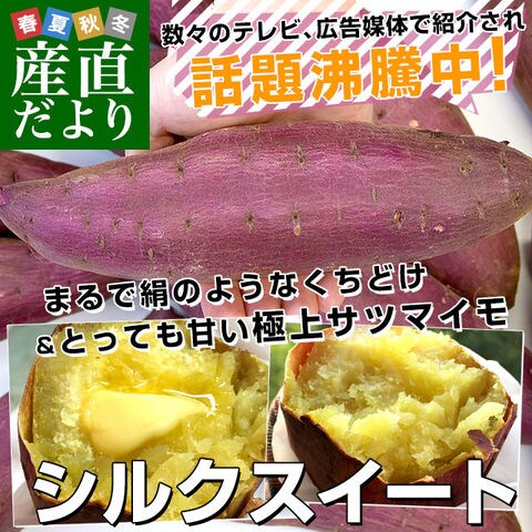 千葉県産 JAかとり シルクスイート Lサイズ5キロ 13本前後 送料無料 さつまいも サツマイモ 薩摩芋 新芋 市場発送