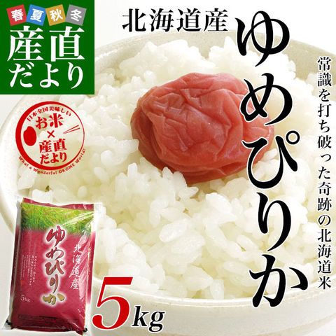 令和7年産 北海道産 ゆめぴりか 5キロ お米 北海道米 送料無料