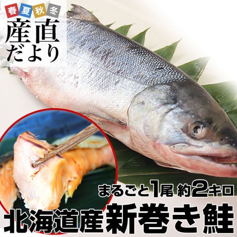 北海道産　新巻き鮭（甘塩）まるごと1尾