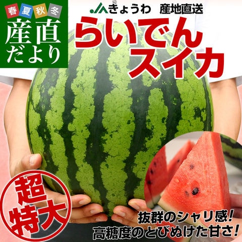 北海道より産地直送 JAきょうわ らいでんスイカ 超特大 優品5Lサイズ 10キロ以上 すいか 西瓜 送料無料