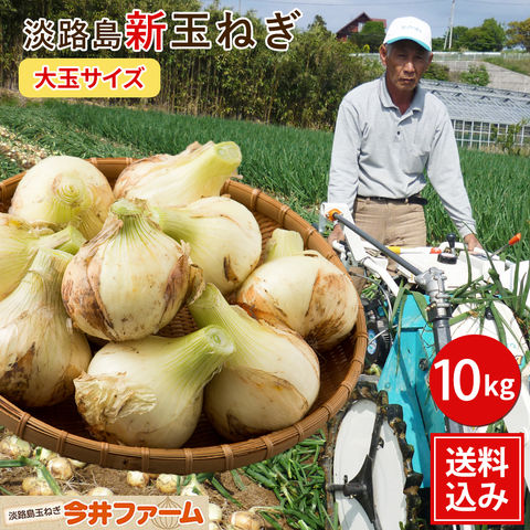 【予約】新玉ねぎ 【送料無料】淡路島玉ねぎ【大玉サイズ】10キロ☆ 玉ねぎ たまねぎ タマネギ 新玉ねぎ 玉葱 淡路 たまねぎ＃大玉たまねぎ(2L/Lサイズ)＃「たまねぎ 10kg 送料無料」 新玉 【5月頃より順次発送予定】