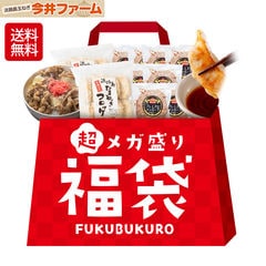 【dショッピング限定！】 冷凍食品の＃超メガ盛り福袋＃【 ハンバーグ 牛丼 コロッケ 餃子 】