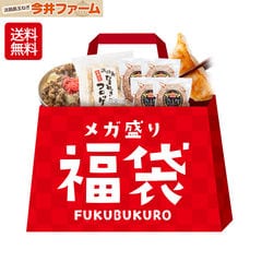 冷凍食品の＃メガ盛り福袋＃【 ハンバーグ 牛丼 コロッケ 餃子 】