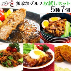 dショッピング |肉 惣菜セット 冷凍 無添加 お試しセット お弁当