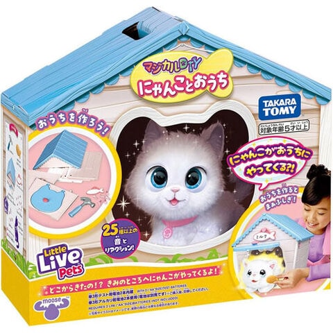 dショッピング |【送料無料！】マジカルDIY にゃんことおうち 【猫