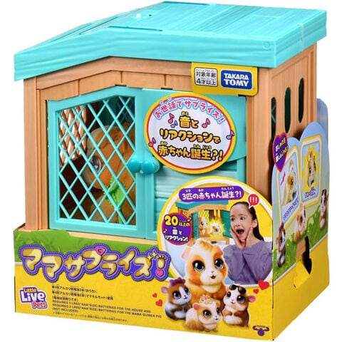 dショッピング |【送料無料！】ママサプライズ! (モルモット 親子