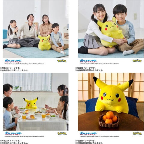dショッピング |【送料無料！】ポケットモンスター ポケモン30周年記念