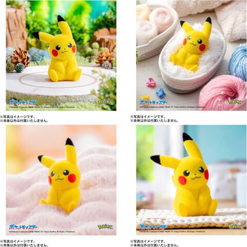 dショッピング |【送料無料！】ポケットモンスター ポケモン てのひら