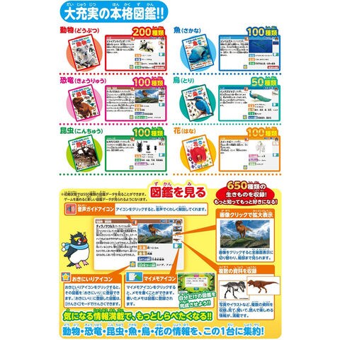 dショッピング |【在庫処分セール特価品!】 【送料無料！】【特典 AC