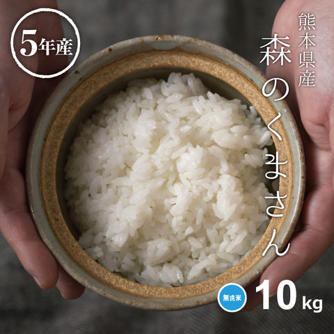 米 森のくまさん 無洗米 10kg 5kg×2袋 熊本県産 令和5年産 送料無料 長期保存用 極パック
