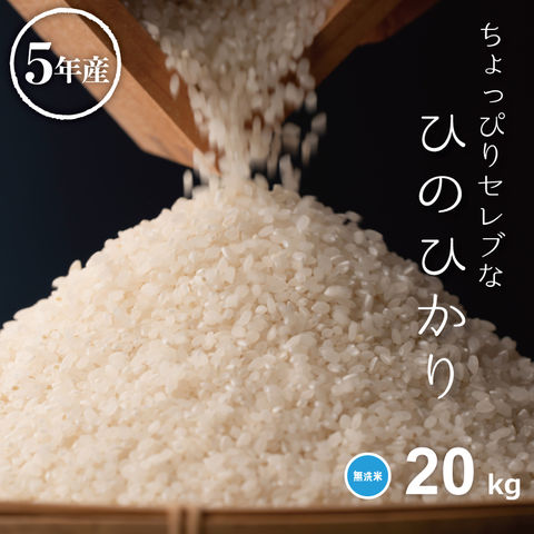 米 ちょっぴりセレブなヒノヒカリ 無洗米 20kg 5kg×4袋 国内産 令和5年産 送料無料 長期保存用 極パック