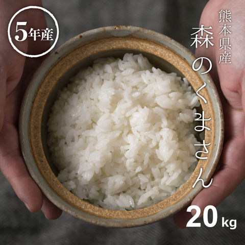 米20Kg送料無料（全国対応）熊本県産米/穀物