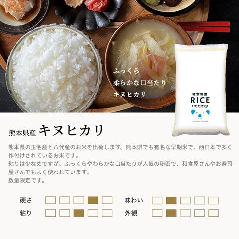 dショッピング |米 キヌヒカリ 白米 5kg 熊本県産 令和7年産 きぬ