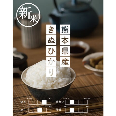 令和5年産　新米☆ヒカリ新世紀20kg厳選米 熊本県産 お米  数量限定 新品種