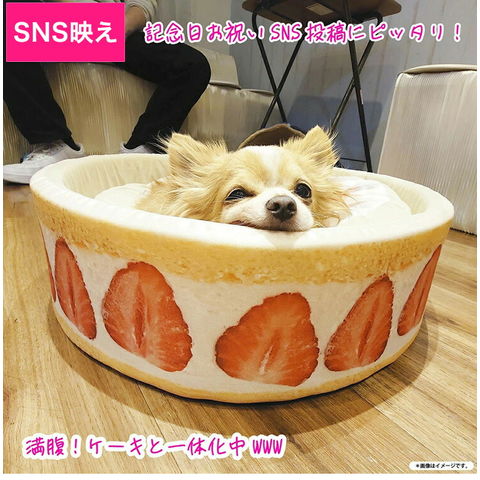 APPY クリーム色 小型犬用ベッド・クッション