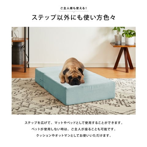 dショッピング |ドッグステップ 階段 Mサイズ 2段 犬用 幅40cm グレー