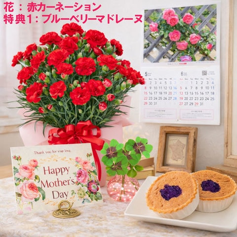花とセット カーネーション 選べる特典付き