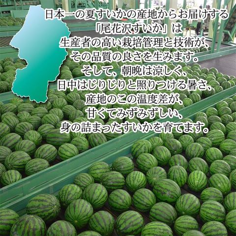 dショッピング |尾花沢すいか 超大玉 4L スイカ 西瓜 果物 フルーツ