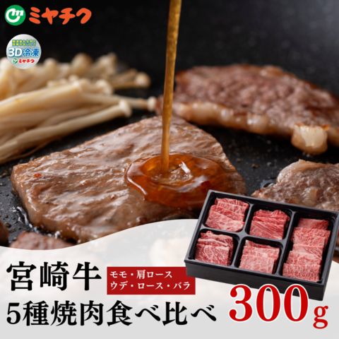 宮崎牛・ひなた美豚焼肉<br>5種盛り食べ比べセット