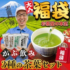 【通常1,946円→1,000円】福袋 お茶 緑茶 茶葉 深蒸し茶 静岡茶 静岡茶の詰め合わせ福袋 大入りがぶ飲み茶葉セット