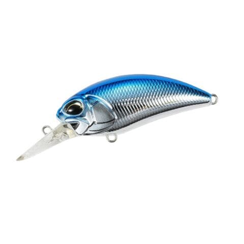 レアリスクランク8A ①