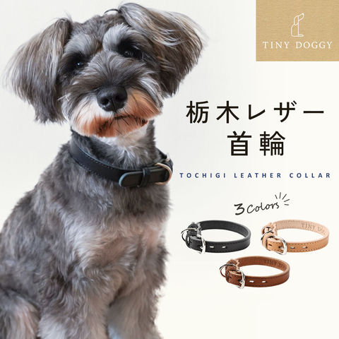 dショッピング |【日本製】 TINY DOGGY 首輪 小型犬 本革 ペット用 犬