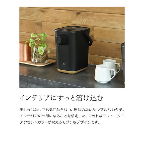 Zojirushi STAN. CP-CA12-BA Electric Kettle