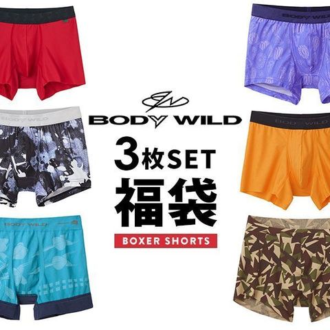 dショッピング |グンゼ GUNZE ボディワイルド BODY WILD ボクサーパンツ お楽しみ福袋 3枚セット メンズ アンダーウェア |  カテゴリ：ボクサーパンツの販売できる商品 | SHIROHATO（白鳩） (29269BWHB119)|ドコモの通販サイト