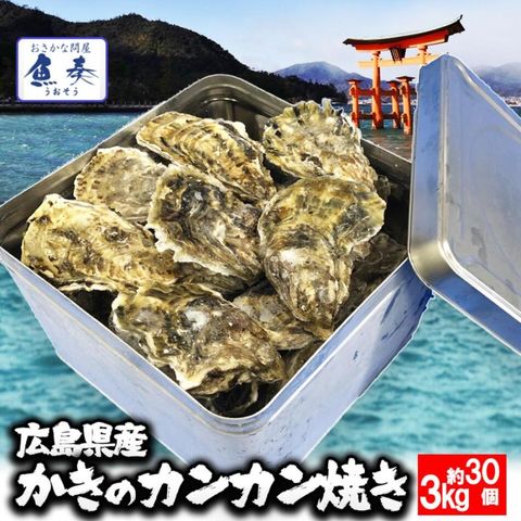 広島産 殻付き 牡蠣 訳あり 3キロ(約30個) カンカン焼き ガンガン焼　カキ かき 宮島 BBQ ナイフ 軍手付 ギフト 取り寄せ