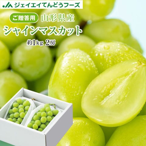 ぶどう 送料無料 ギフト 秀品 山形県産 シャインマスカット 2房(約500g×2) 順次出荷