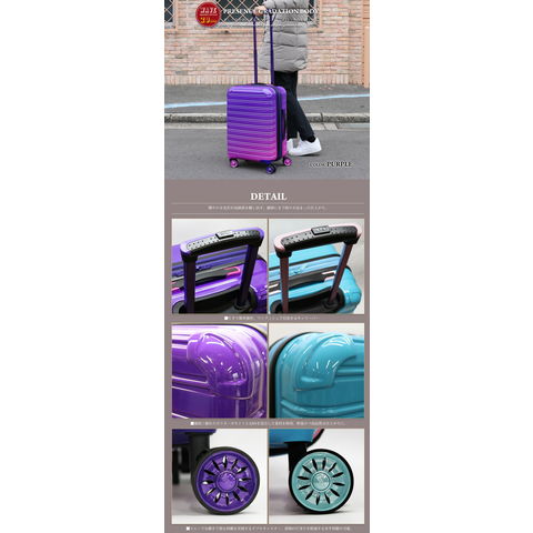 dショッピング |【iFLY Luggage】 スーツケース 機内持込み Sサイズ