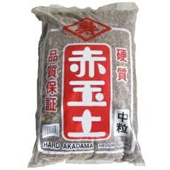 dショッピング |ユッカ（ロストラータ） 10号 ぽってり スタイリッシュ