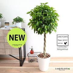 dショッピング |フラワーワゴン （マルシェワゴン）81431 | カテゴリ：ガーデンラックの販売できる商品 | LAND PLANTS  (327osikesoyot-81431)|ドコモの通販サイト