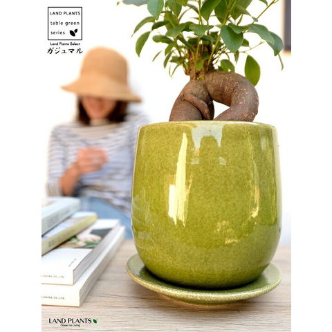 dショッピング |【植木鉢】 グリーン 落ち着きのある ラウンド型 陶器