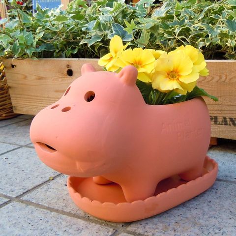 dショッピング |【 植木鉢 】SALE【選べる種類】 Animal terracotta