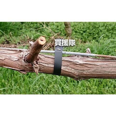 MAX　テープナー　園芸　ガーデニング　農業　野菜　果物　種苗　結束　工具　資材 MAX テープナー 園芸 ガーデニング 農業 野菜 果物 種苗 結束 工具 資材