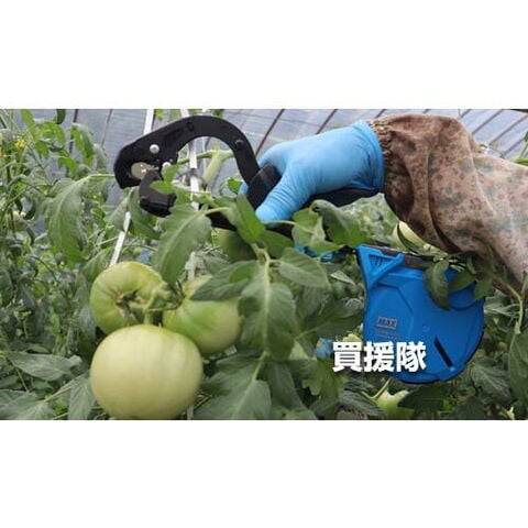 dショッピング |MAX 誘引結束機 強保持力 テープナー HT-S45E HT90110