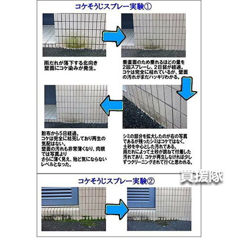 dショッピング |パネフリ工業 コケそうじ 500ml×6本 濃縮液