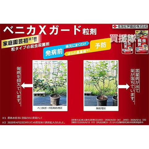 dショッピング |住友化学園芸 ベニカXガード粒剤 250g 【ベニカガード 粒タイプ 殺虫殺菌粒剤 病気 予防 害虫 被害 灰色かび病 うどんこ病  黒星病 アブラムシ対策 花 野菜 園芸 庭木 バラ 薔薇 きゅうり トマト ナス】【おしゃれ おすすめ】 カテゴリ：殺虫剤の販売 ...