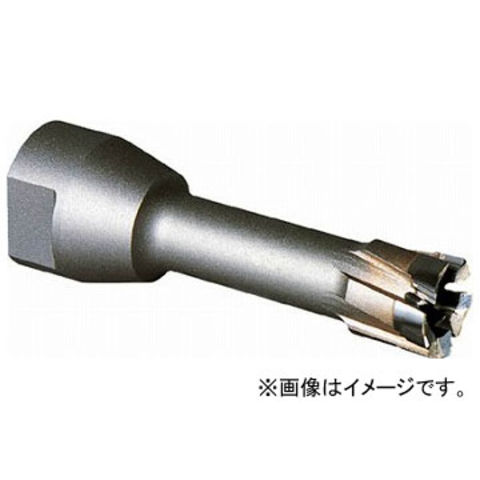 日本精器 高性能エアフィルタ10A0.01ミクロン（ドレンコック付） NI-AN1-10A-DL-DV [A230101]