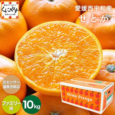 「ファミリーせとか5×2」究極の柑橘！ みかん の大トロ★糖度12.0以上 酸1.4以下★【送料無料】【ギフト】【産地直送】愛媛西宇和産 せとか ファミリー用 10キロ (5キロ×2箱)【予約品】2月中旬～下旬頃発送予定