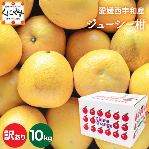 「訳ありジューシー柑10」★果汁たっぷりジューシー★【送料無料】【産地直送】愛媛西宇和産 ジューシー柑 訳あり 10kg 河内晩柑 和製グレープフルーツ 宇和ゴールド 美生柑 愛南ゴールド
