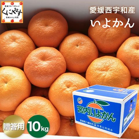 「贈答いよかん10」【送料無料】【ギフト】【産地直送】愛媛産伊予柑 贈答用10kg(2L-3Lサイズ：約35-45個入)創業85年の老舗！親子4代 愛媛みかん 一筋！いよかん 宮内伊予柑 いよ柑【予約品】1月中旬～下旬頃発送予定