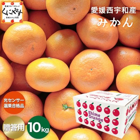 【送料無料】【ギフト】【産地直送】愛媛西宇和産みかん 贈答用 10キロ「贈答みかん10」創業85年 愛媛みかん 一筋！日の丸みかん 川上みかん 真穴みかんと同一産地 八幡浜みかん【1～5営業日以内当店発送】