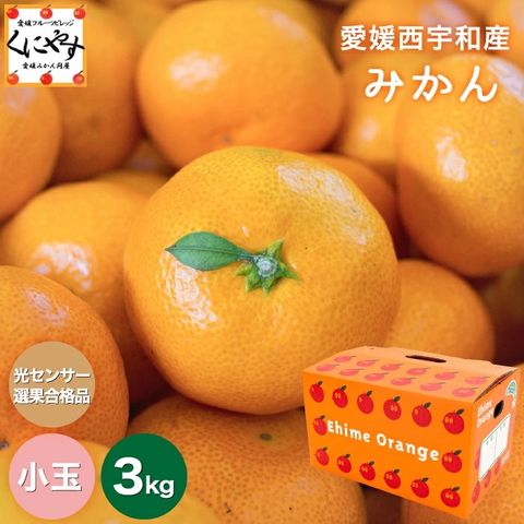 【送料無料】【ギフト】【産地直送】愛媛西宇和産小玉みかん3kg2S-S玉「小玉みかん3」創業84年！愛媛みかんの老舗！日の丸みかん 川上みかん 真穴みかんと同一産地 八幡浜みかん【11月上旬～中旬頃当店発送予定】