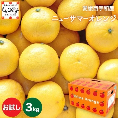 愛媛西宇和産 ニューサマーオレンジ (小夏)