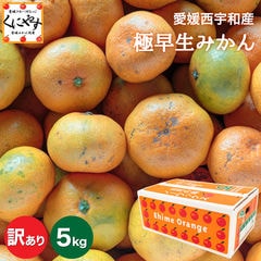 「訳あり極早生みかん5」【送料無料】【産地直送】【訳あり】愛媛西宇和産 訳あり極早生みかん 5kg 愛媛みかんの老舗！親子4代みかん一筋 愛媛 八幡浜 日南みかん