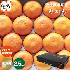 【送料無料】【ギフト】【産地直送】愛媛西宇和産みかん 贈答用 2.5キロ「贈答みかん2.5」創業85年 愛媛みかん一筋！日の丸みかん 川上みかん 真穴みかんと同一産地 八幡浜みかん【1～5営業日以内当店発送】